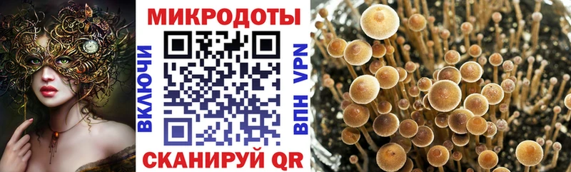 это официальный сайт  Моздок  Галлюциногенные грибы Magic Shrooms 